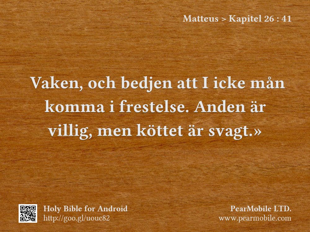 Matteus, Kapitel 26:41